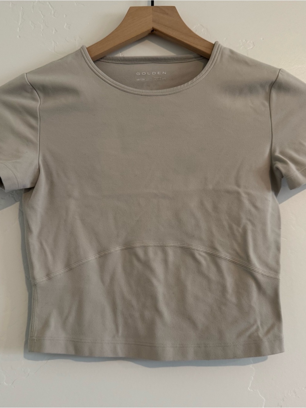 Aritzia Golden Short Sleeve Crewneck Tee in Light Taupe